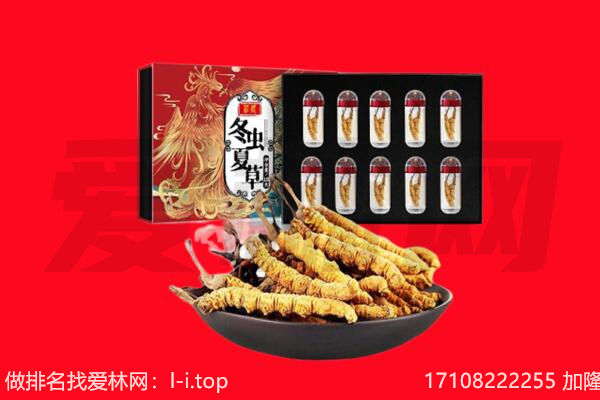 丽江市回收虫草.jpg
